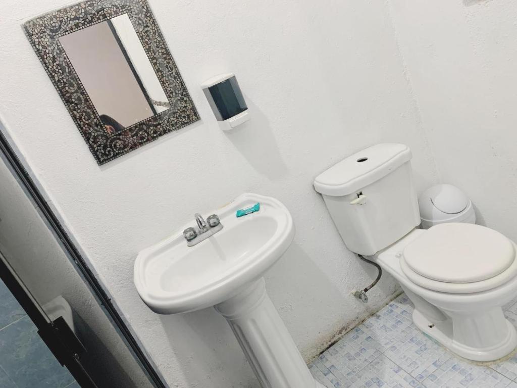 Hotel Mariam 特科卢特拉 外观 照片