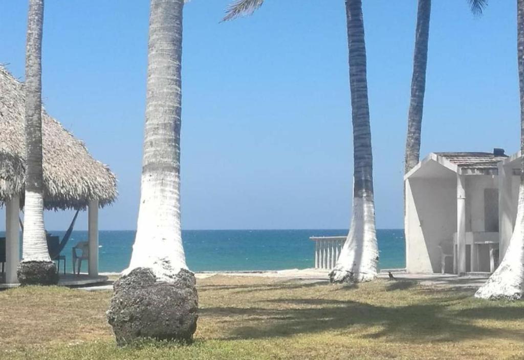 Hotel Mariam 特科卢特拉 外观 照片